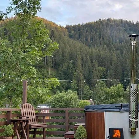 Holiday home на грушівці